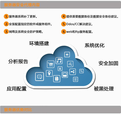 云服務器運維服務 年度應用軟件服務深度解析